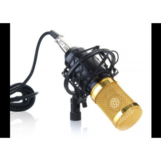 Микрофон студийный M-800