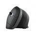 Мышка Trust Verro Ergonomic Wireless Black (23507)