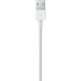 Дата кабель USB 2.0 AM to Lightning 2.0m Apple (MD819ZM/A)